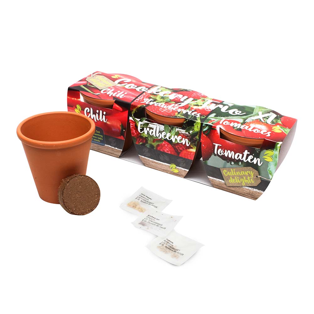 Growing kit herbs | Eco promotional gift